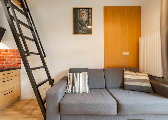 Olimpijska & Bike - Dream *