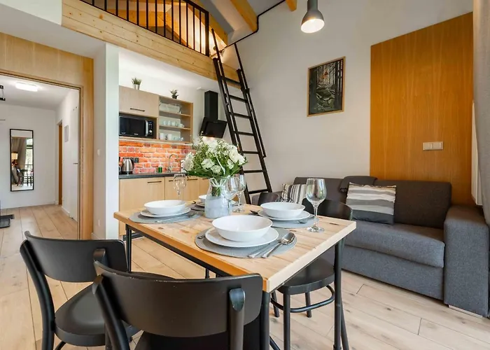 Olimpijska & Bike - Dream